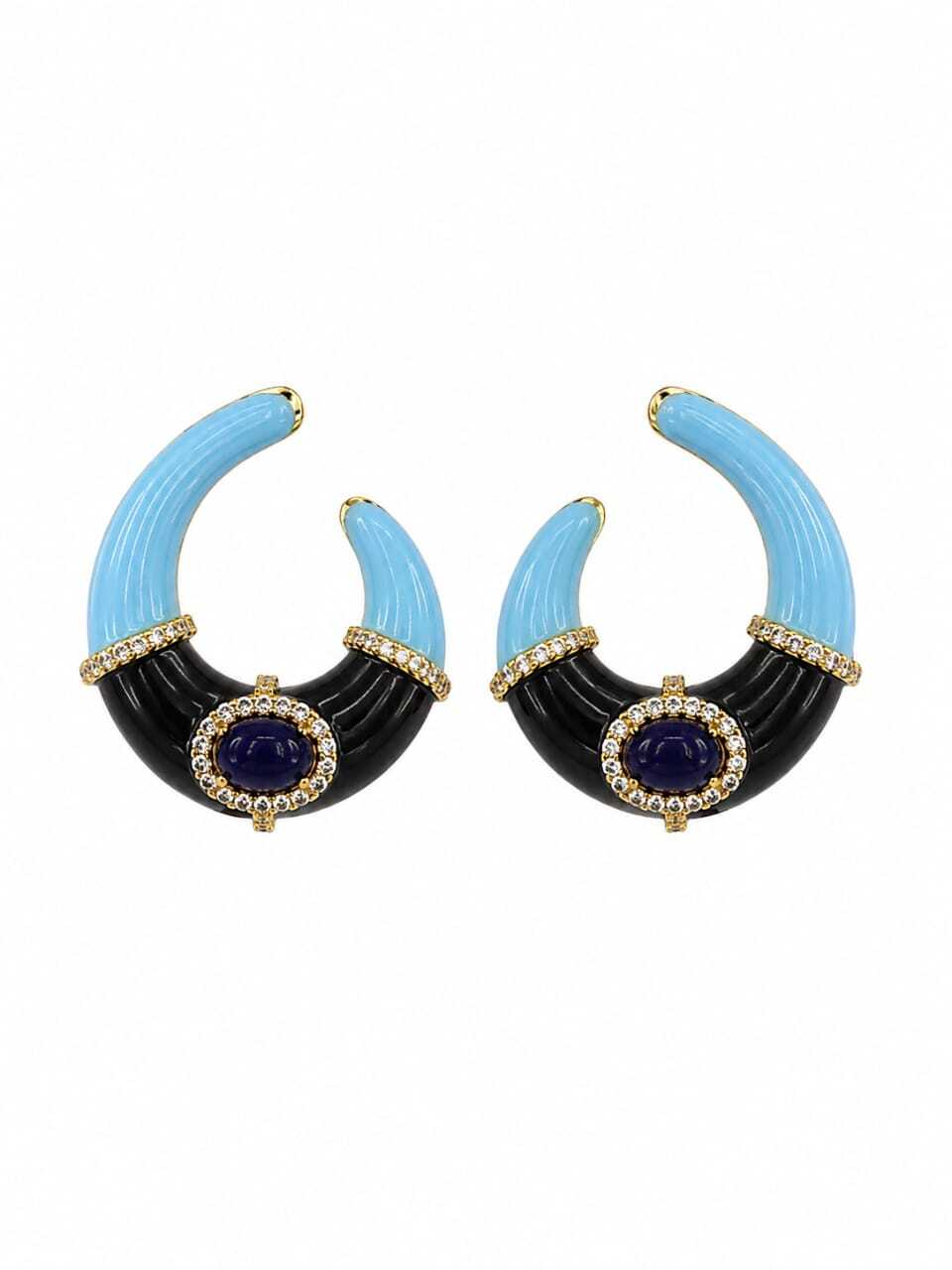 Argola Azul dos Andes