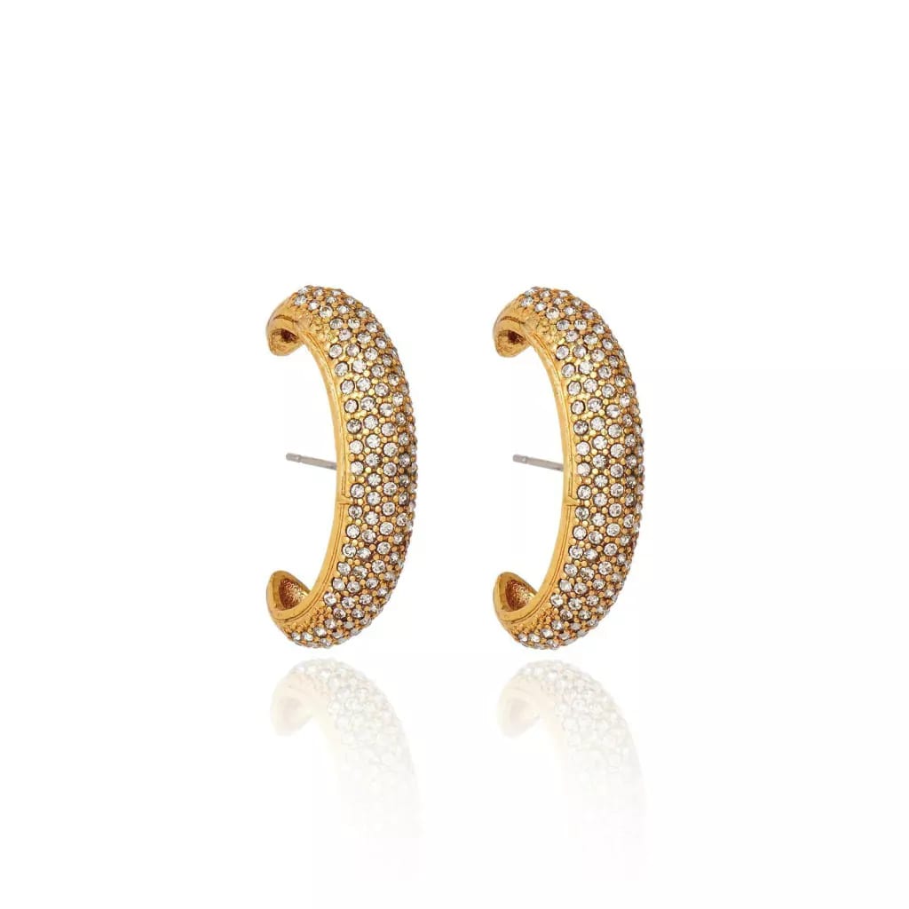 Brinco Earhook Waves
